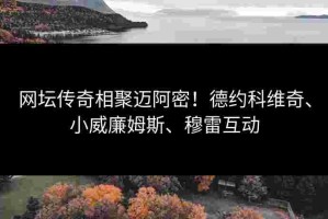 网坛传奇相聚迈阿密！德约科维奇、小威廉姆斯、穆雷互动