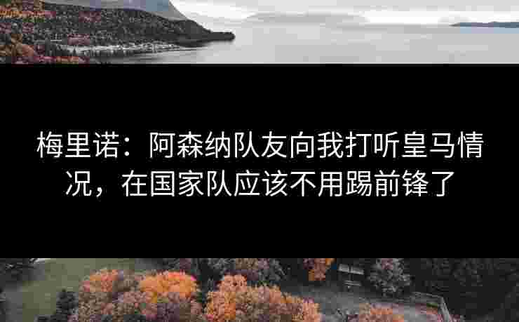 梅里诺:阿森纳队友向我打听皇马情况,在国家队应该不用踢前锋了 梅里诺:阿森纳队友向我打听皇马情况,在国家队应该不用踢前锋了